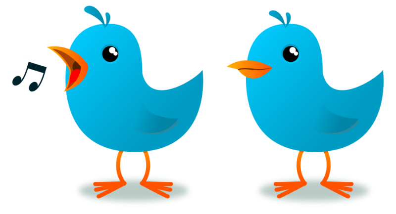 800x433 Bird Clipart