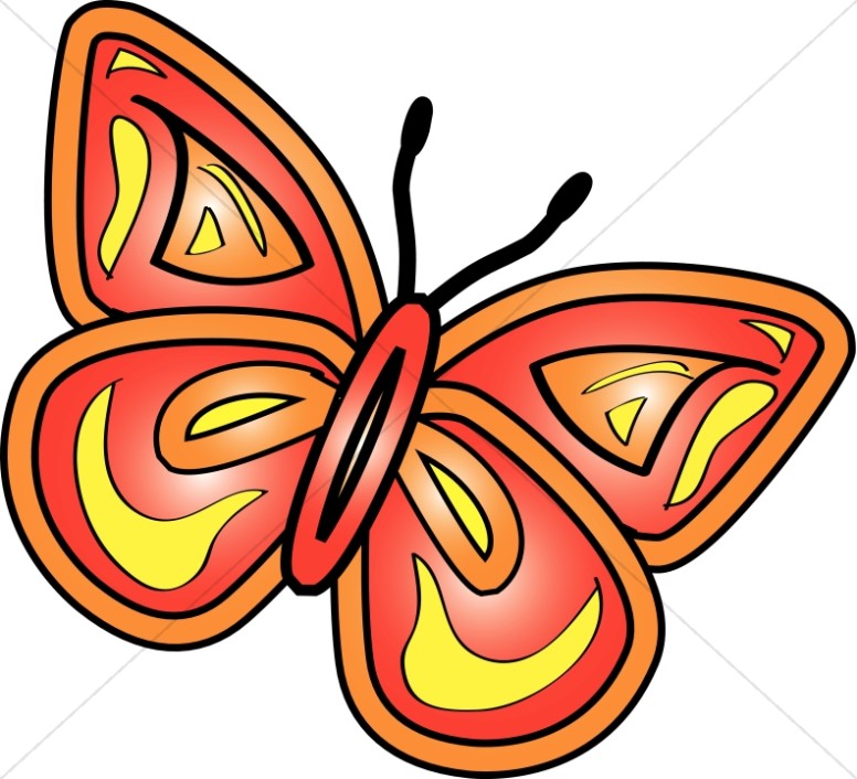 776x706 Graphic Butterfly Group
