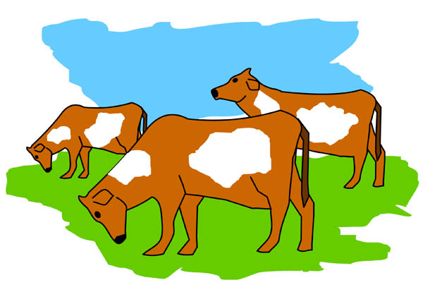 600x407 Cows Clip Art