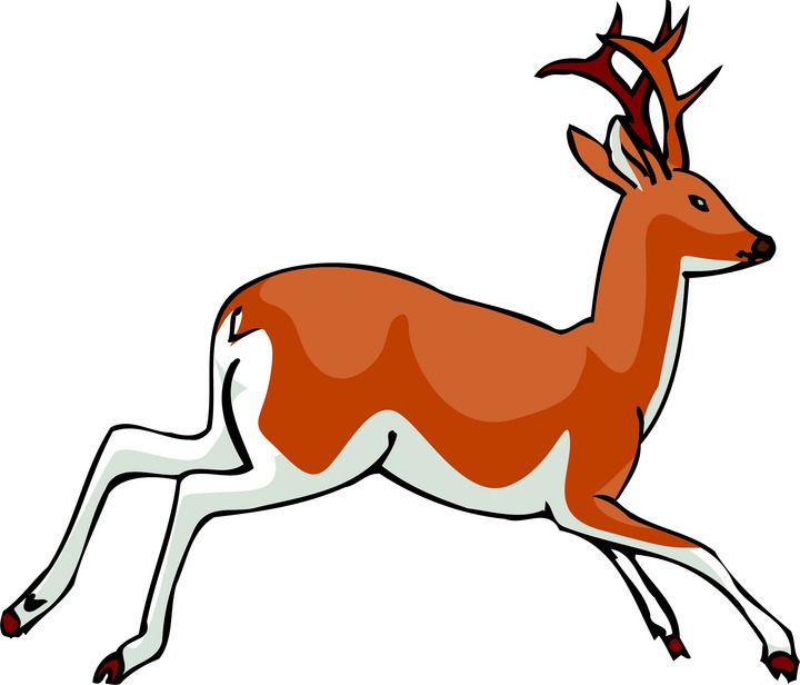 720x616 Running Deer Clipart