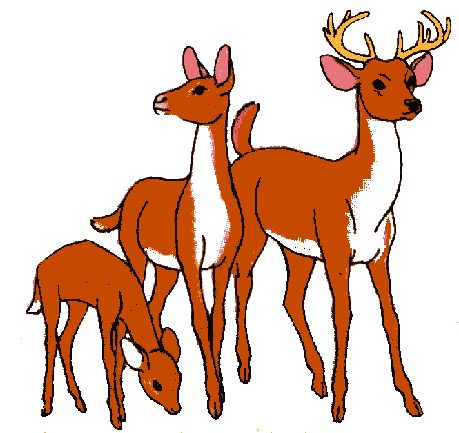 459x433 Deers Animated Images, Gifs, Pictures Amp Animations