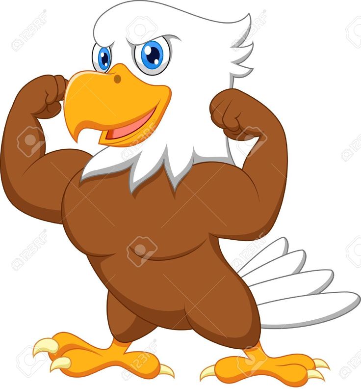 736x792 7 Best Images On Eagle Cartoon, Eagles And Get