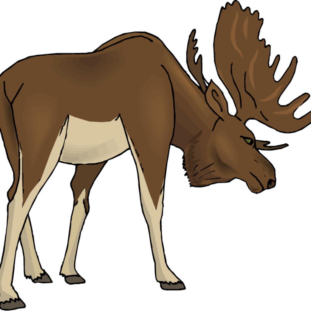 1024x1024 Free Moose Clipart Money Clipart