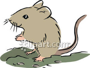 300x225 Field Mouse Clipart