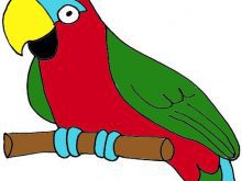 220x165 Parrot Images Clip Art Wallpapergenk