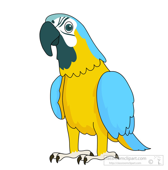 544x550 Yellow Macaw Clipart