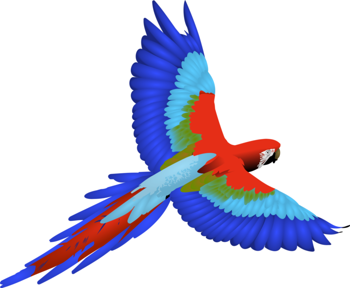 700x576 Parrot Clip Art Cartoon Bclipart Free Clipart Images Tfzzrd