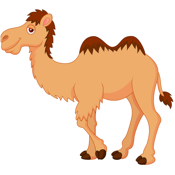 600x600 Top 87 Camel Clip Art