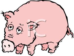 300x228 A Colorful Cartoon Of Cute Pig