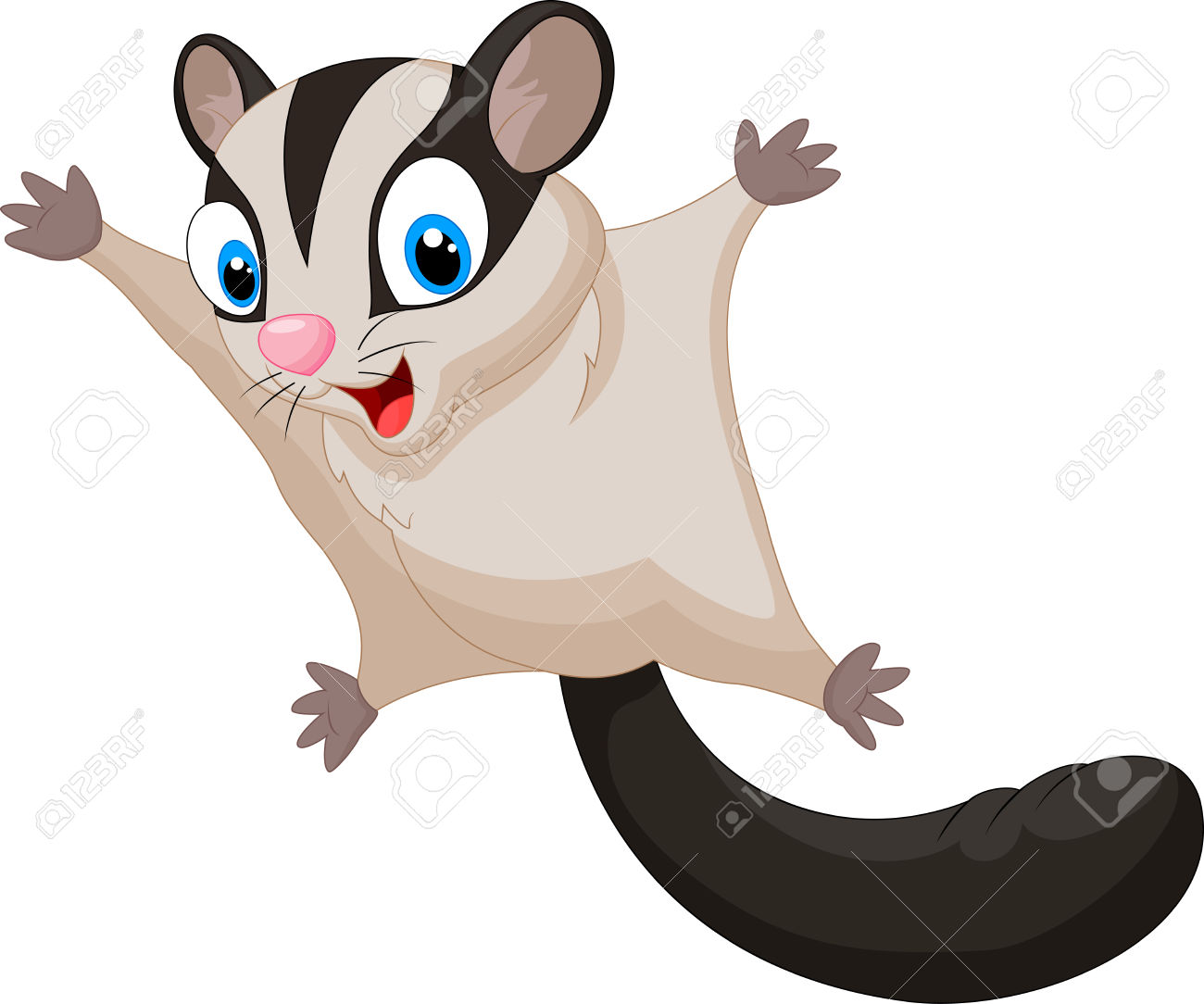 1300x1084 Flying Squirrel Clipart, Explore Pictures