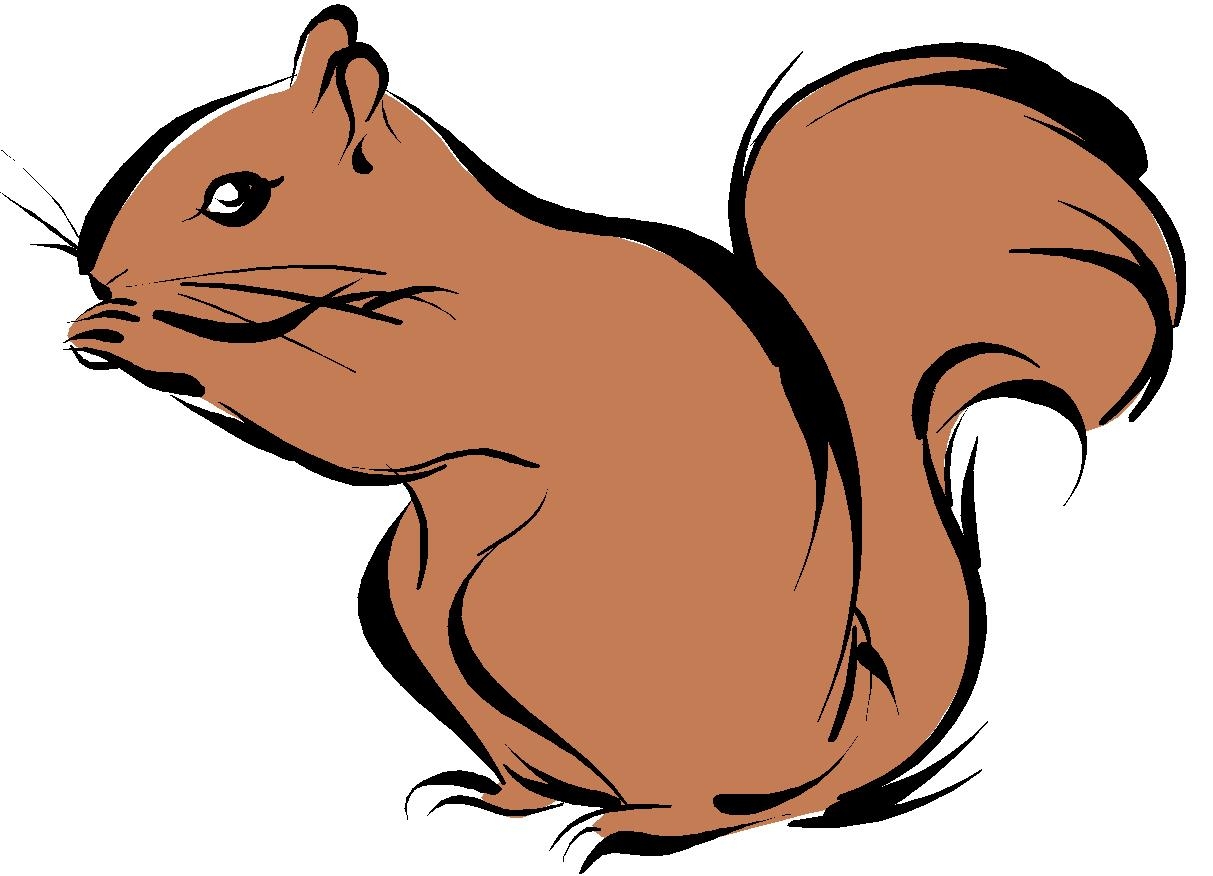 1213x876 Best Of Squirrel Clipart Gallery