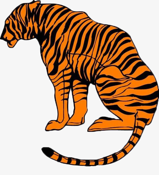 539x592 Vector Cartoon Tiger, Tiger, Animal, Cartoon Png Image And Clipart