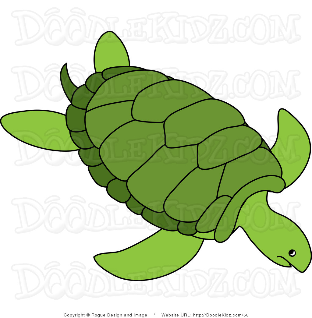 1024x1044 Clip Art Cartoon Turtle Clip Art