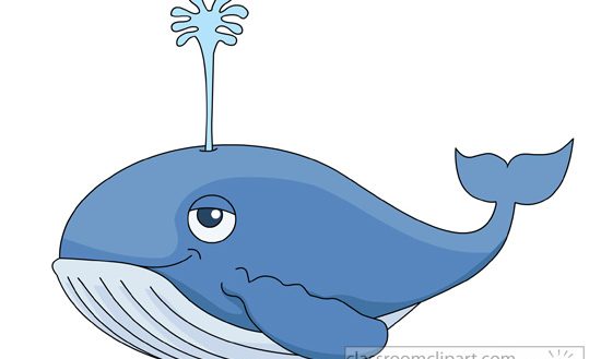 Cartoon Whale Clipart at GetDrawings | Free download