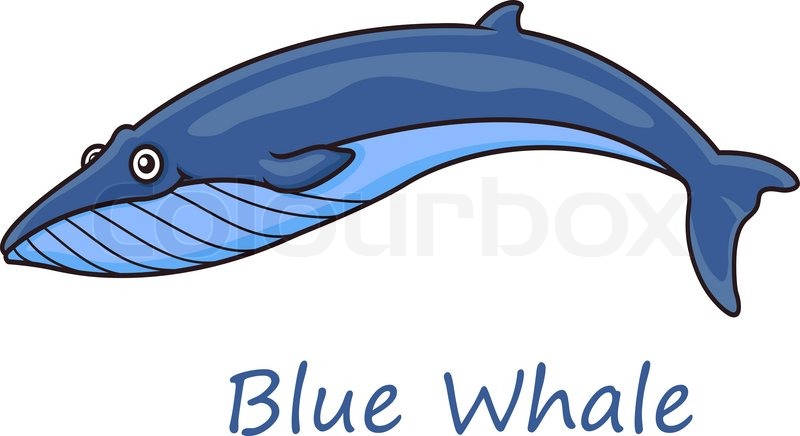 800x436 Funny Cute Cartoon Blue Whale Isolated On White Background