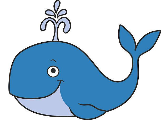612x456 Blue Whale Clipart Focus Cartoon Pictures Of Whales Whale Clipart