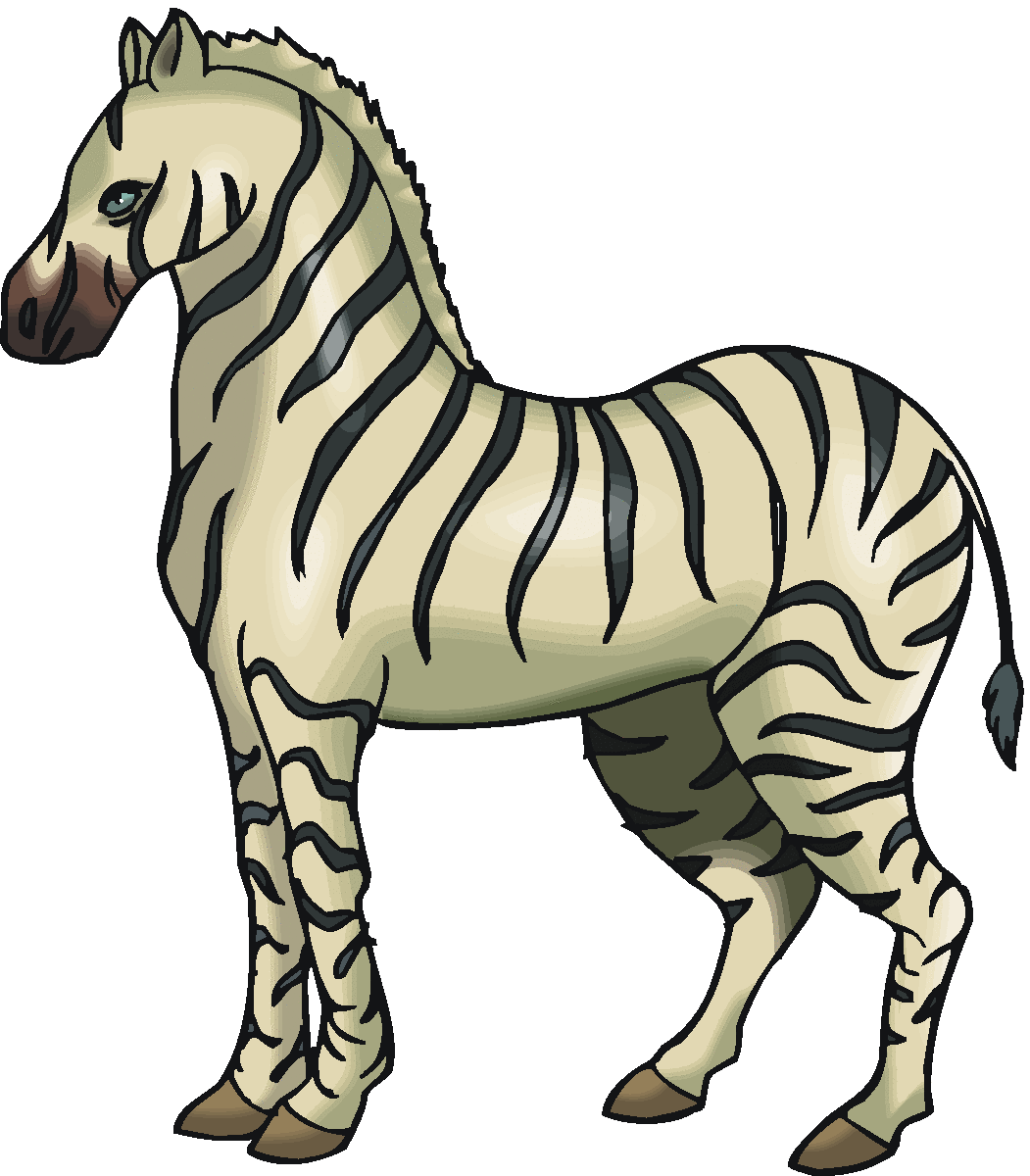 1051x1200 Zebra Clip Art Images And Cartoon Pictures