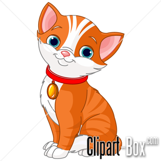 324x324 Kitten Clipart Png