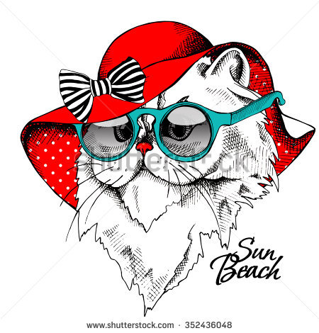 450x470 Ordinary Sunhat Clipart