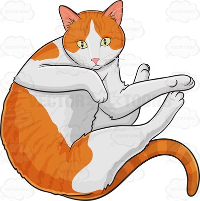 398x400 Domestic Cats Clipart
