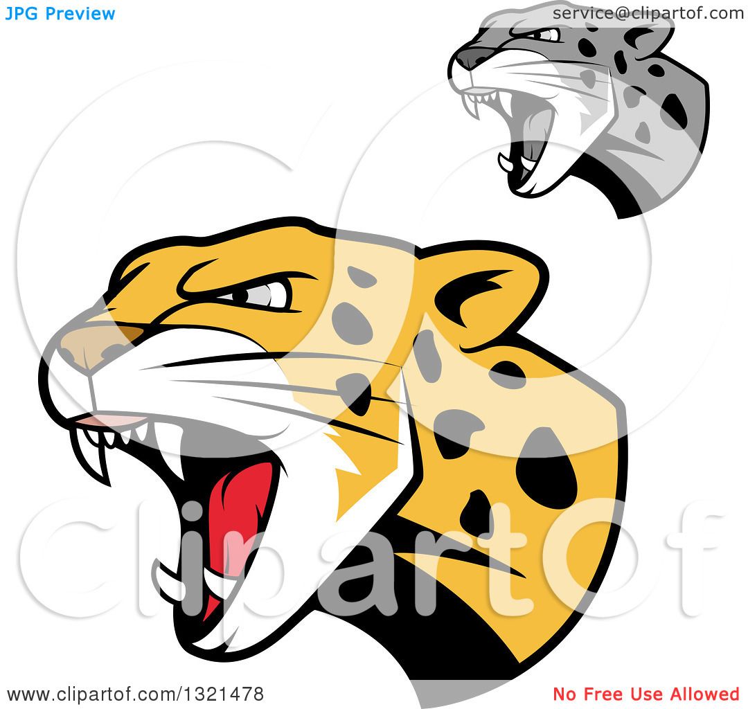 1080x1024 Clipart Of Roaring Angry Jaguar Or Leopard Big Cat Heads