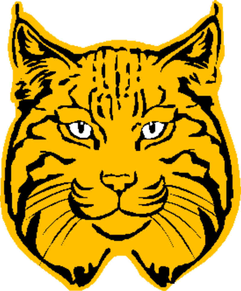 800x967 Bobcat Clipart Clipartlook