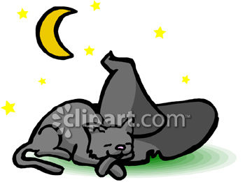 350x261 Balck Cat Sleeping On Witch Hat