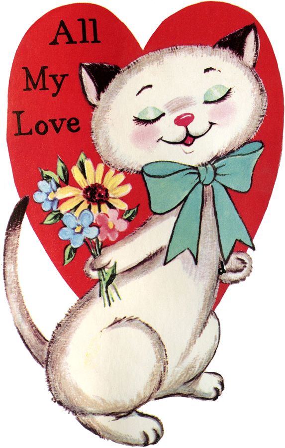 573x900 141 Best Valentine's Day Cats Images On Kitty Cats