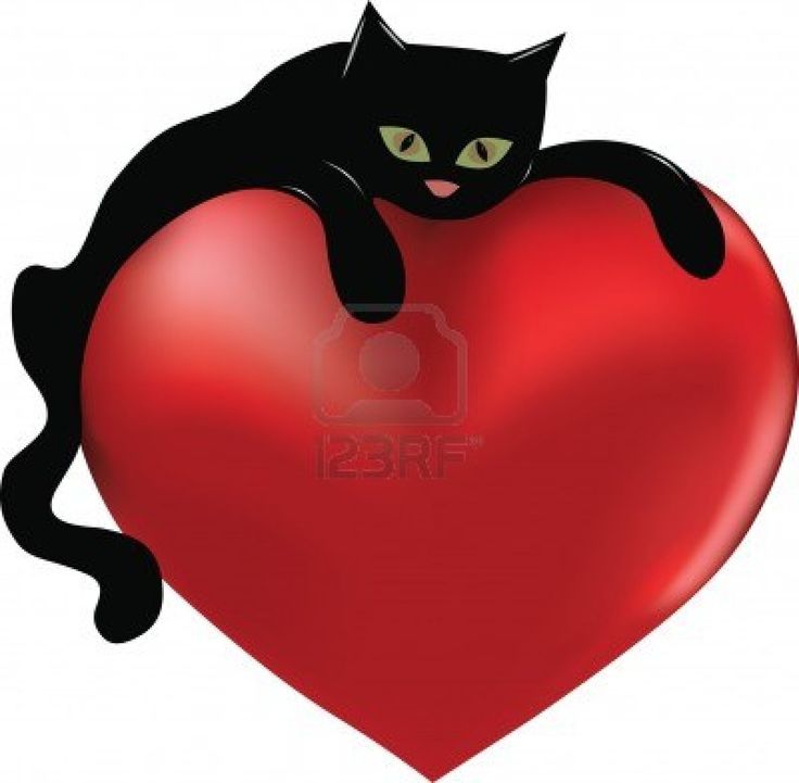 736x721 154 Best 32. Cats Amp Valentine's Day Images On Cat