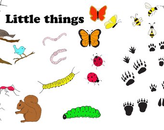 340x270 Kid Bugs Clipart Kid Bugs Clip Art Kid Bugs Png Snail