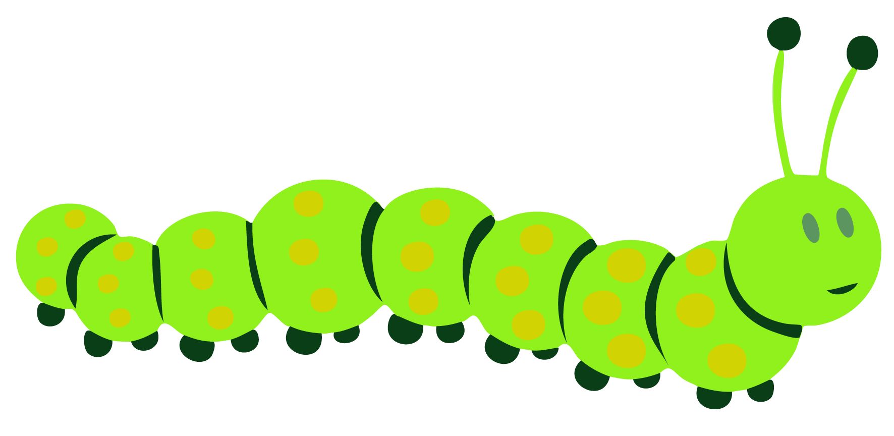 1772x864 Images For Gt Caterpillar Head Template Brayden's Bug Birthday