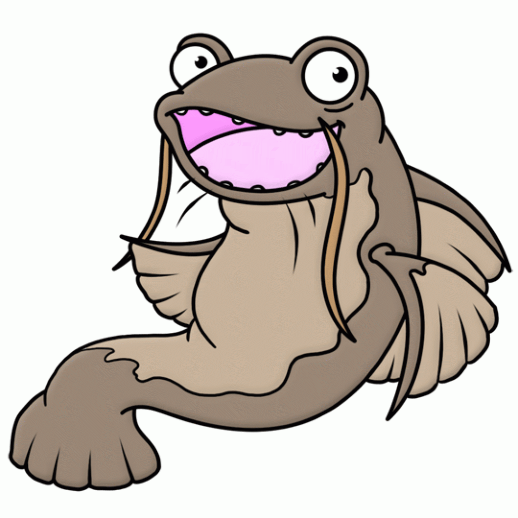 1024x1024 Free Clip Art Images Of Catfish