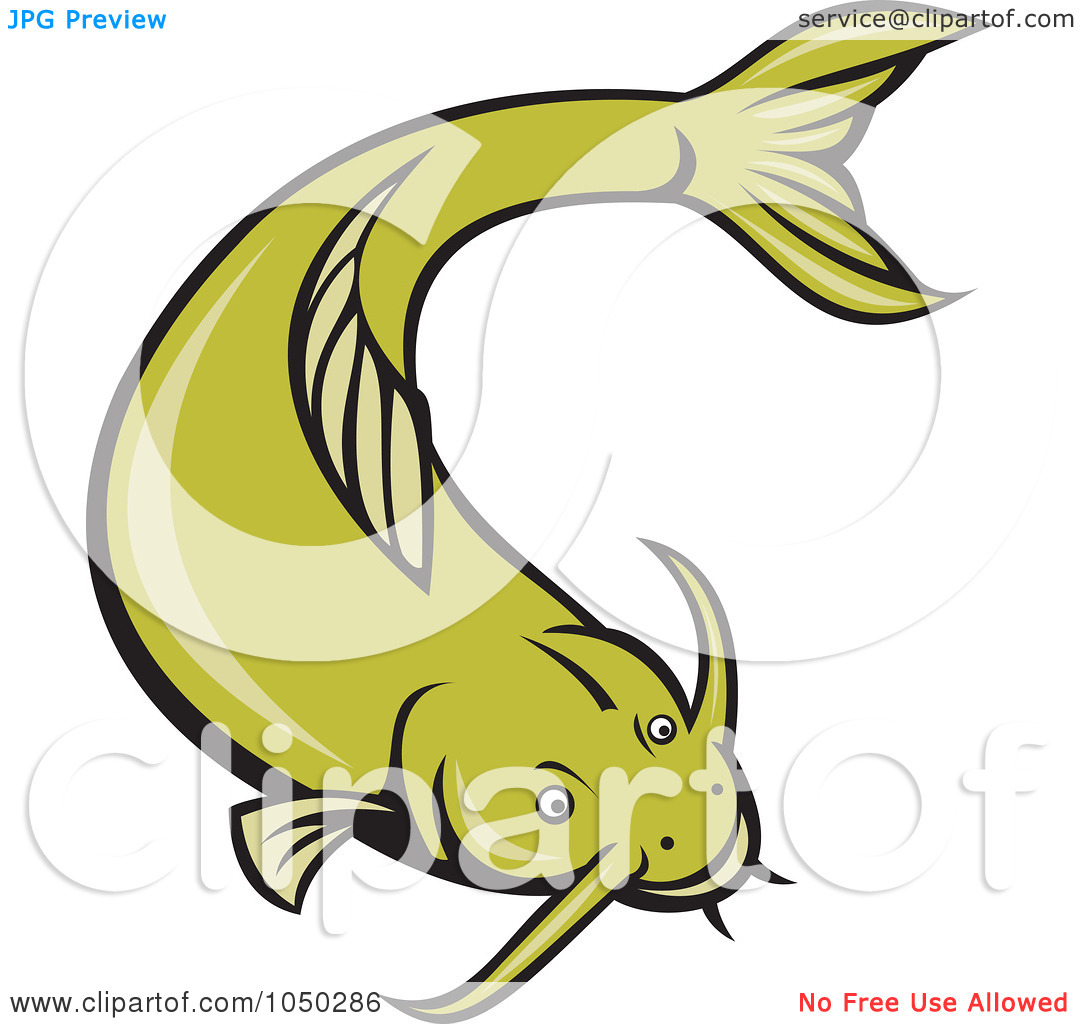 1080x1024 Catfish 20clipart Clipart Panda