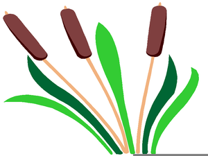 300x225 Cattails Clipart Free Images