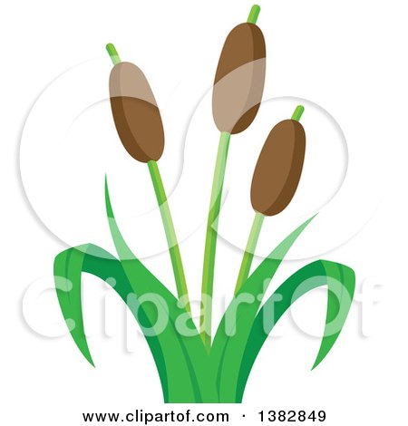 450x470 Royalty Free (Rf) Clipart Of Cattails, Illustrations, Vector