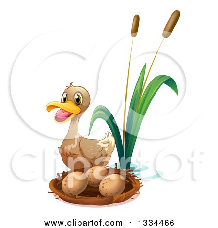 450x470 Royalty Free (Rf) Clipart Of Duck Eggs, Illustrations, Vector