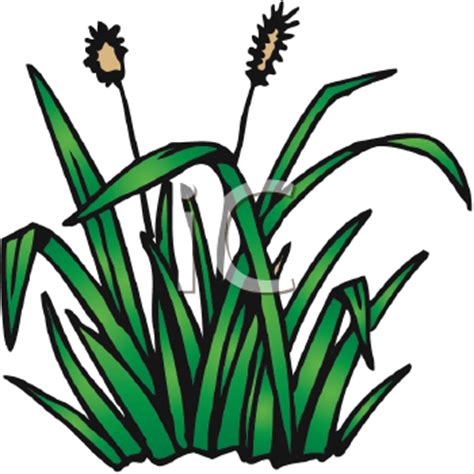 474x474 Royalty Free Cattail Clip Art, Plant Clipart, Cartoon Pond