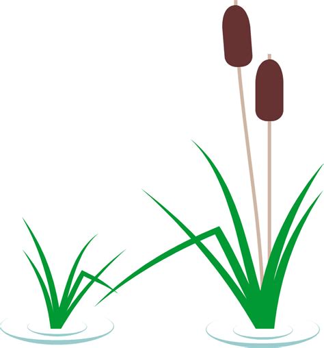 474x508 Cattail Cliparts Free Download Clip Art