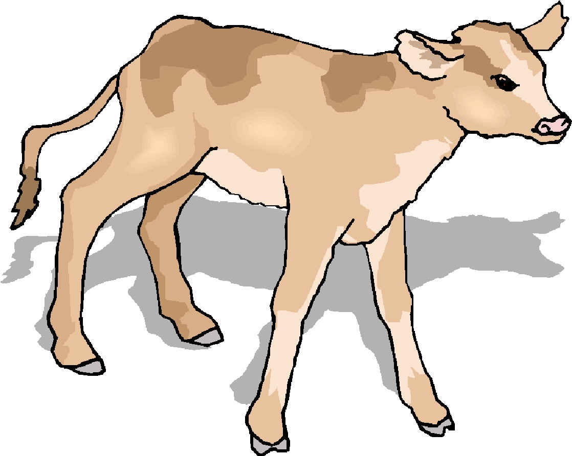 1118x893 Clip Art Clip Art Of Cow