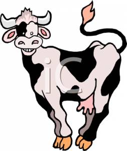 253x300 A Posing Dairy Cow Clip Art Image