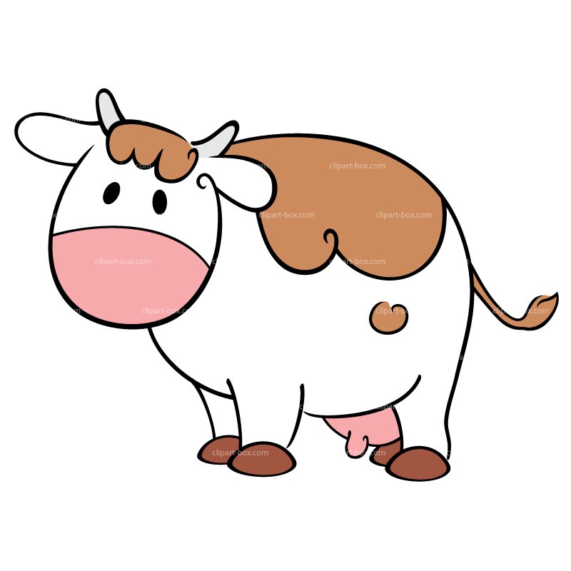 800x800 Cartoon Cow Clipart