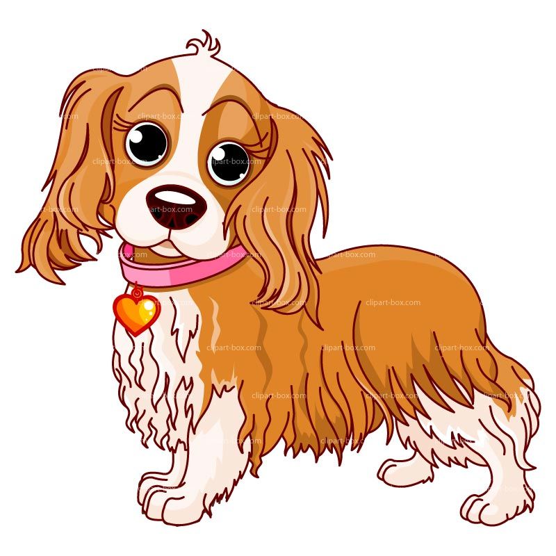 800x800 Dog Clip Art