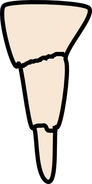 294x589 Stalactite Starter Clip Art