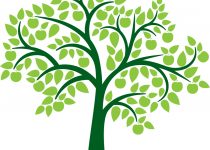 210x150 Clip Art Tree Of Life Clip Art