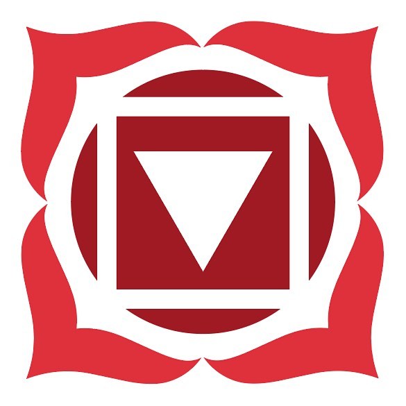 585x585 E Courses The Flying Cat