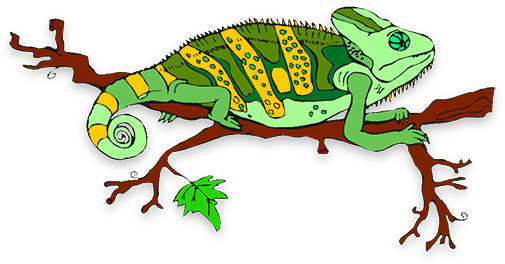 505x264 Chameleon Clip Art