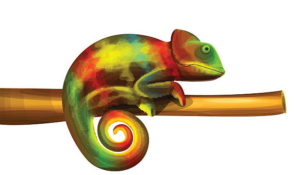 612x362 Chameleon Clipart Vector
