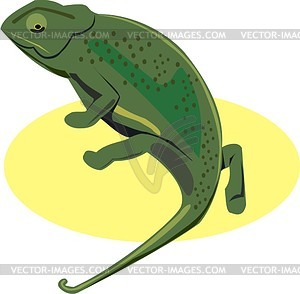 300x294 Chameleon Clip Art