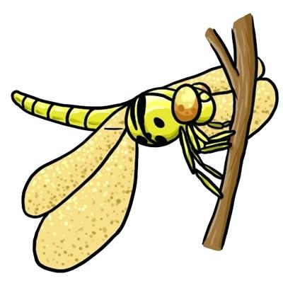 400x400 Free Art Clip Art Free Dragonfly Clip Art Free Clipart Images
