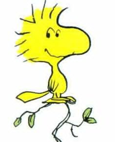 236x291 Tattoo For My Bird Finger Things To Do Next